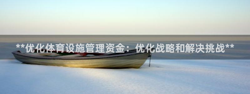 意昂3娱乐平台：**优化体育设施管理资金：优化战略和