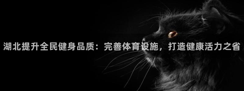 意昂集团官网：湖北提升全民健身品质：完善体育设施，打