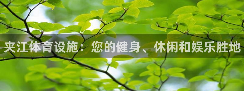 意昂体育3招商电话号码是多少：夹江体育设施：您的健身