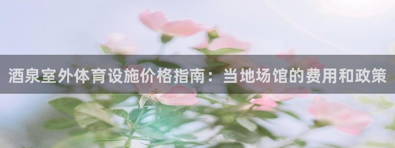 意昂体育3招商：酒泉室外体育设施价格指南：当地场馆的费用和政 