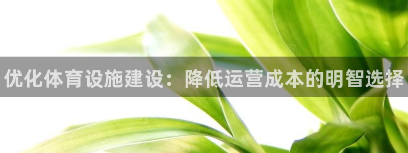 意昂3集团简介