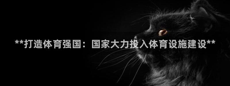 意昂3五金厂：**打造体育强国：国家大力投入体育设施建设**