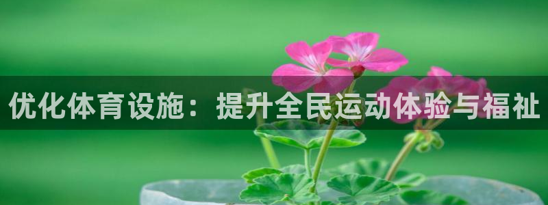 意昂体育3招商