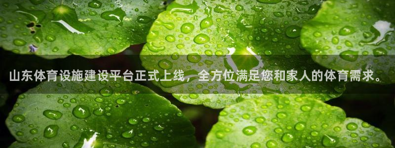 意昂3娱乐网站