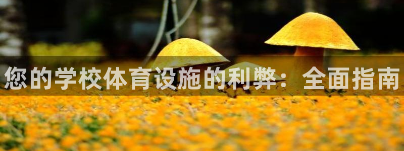 意昂体育3平台注册要钱吗安全吗：您的学校体育设施的利