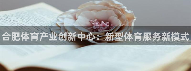 意昂体育3平台假的吗是真的吗