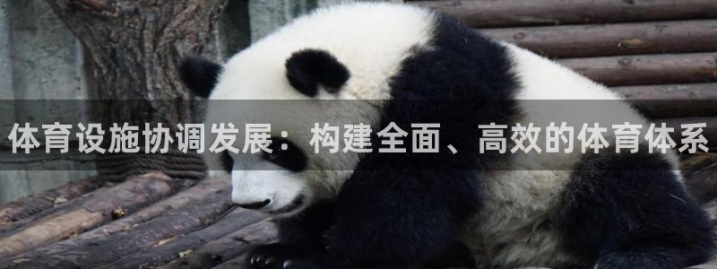 意昂3集团logo：体育设施协调发展：构建全面、高效