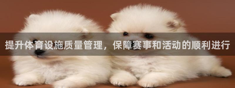 意昂3集团E.ON：提升体育设施质量管理，保障赛事和