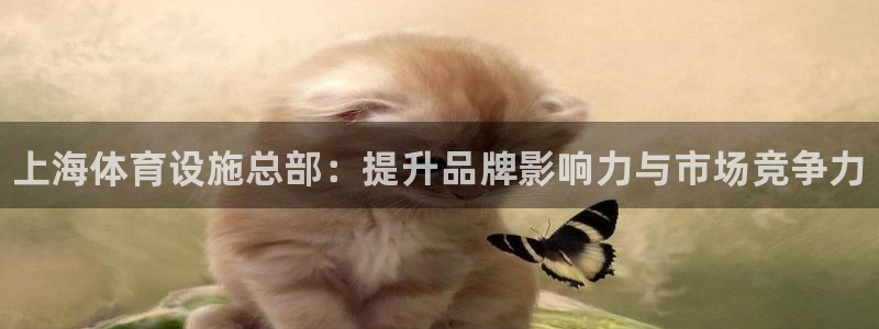 意昂体育3招商电话号码查询是多少：上海体育设施总部：提升品牌