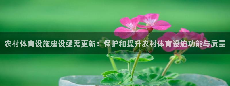 意昂体育3平台是正规平台吗：农村体育设施建设亟需更新：保护和