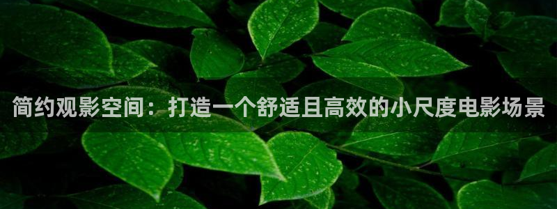 奇奇影院免费版看电视剧