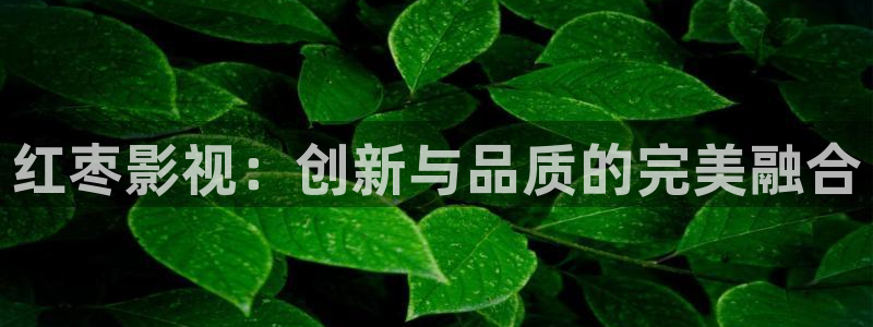 777米奇奇米在线影院
