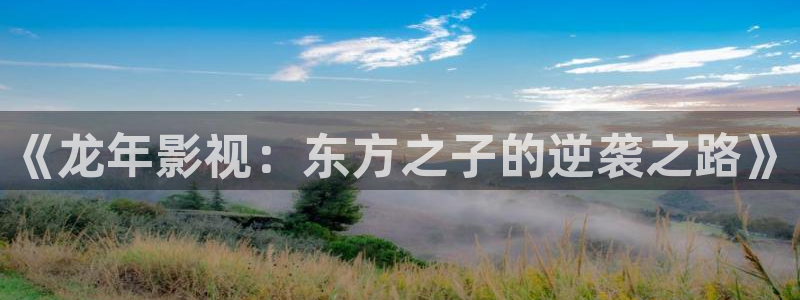 奇奇影视理论