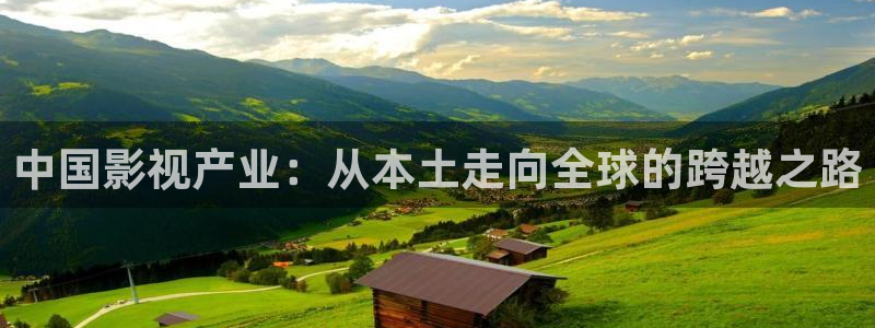 奇奇影院手机版