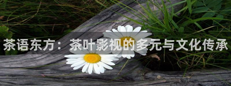 奇奇影院官网