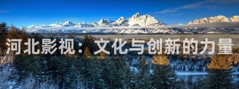 无颜之月奇奇影院