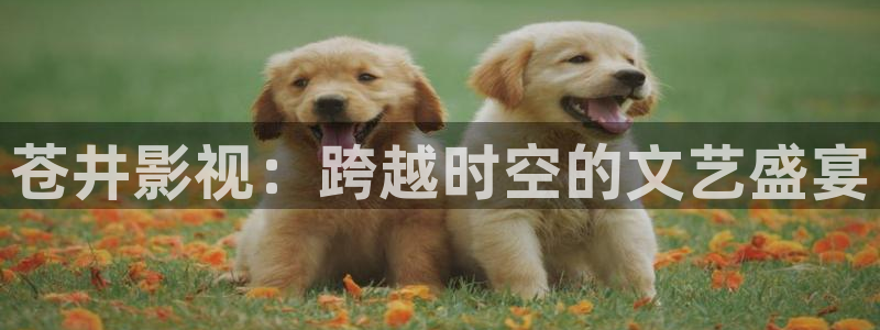 奇奇理论影院