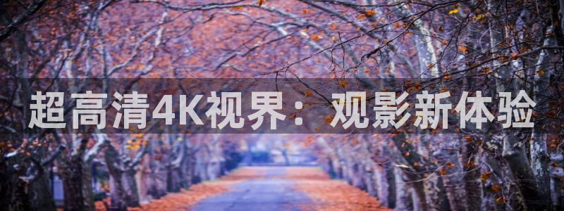 米奇奇米影视
